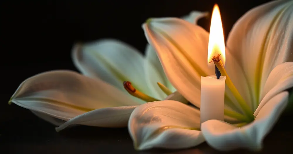 Pétalas de lírio branco ao lado da chama de uma vela acesa em ambiente escuro e silencioso